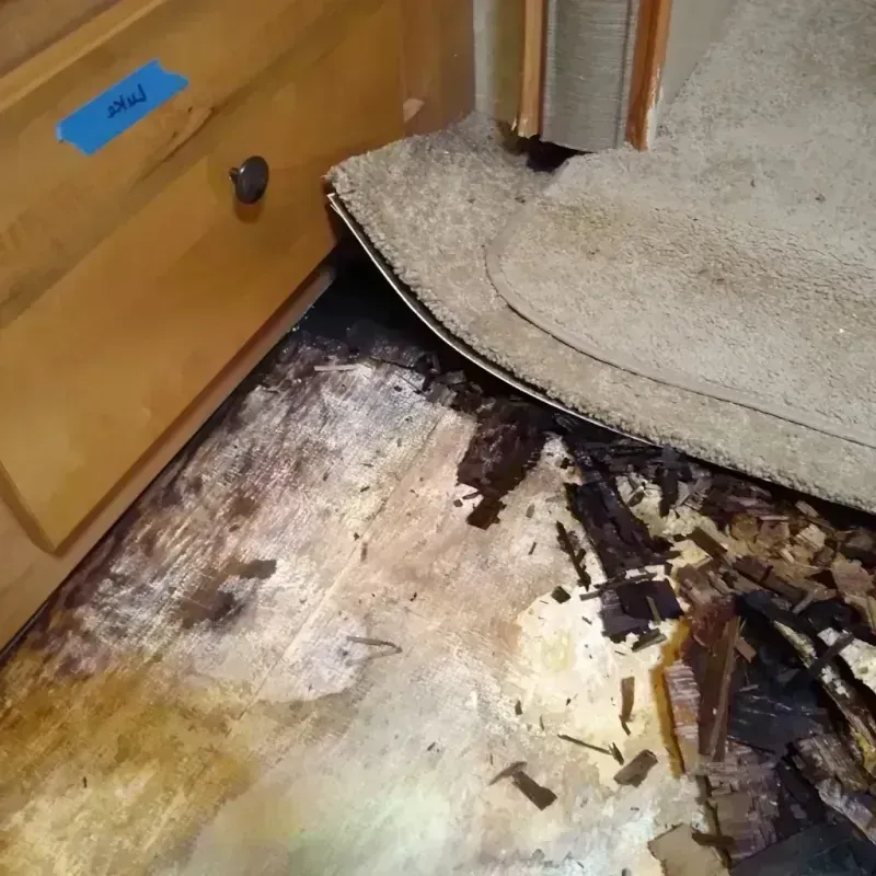 Wood Floor Water Damage in City of Hampton, VA